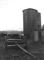 SA0741.11 - Photo of silos, cows, and manure spreader.